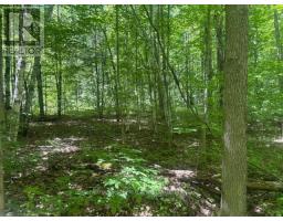 49 Cedar Sands Road, Rideau Lakes, ON K0E1N0 Photo 6