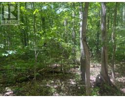 49 Cedar Sands Road, Rideau Lakes, ON K0E1N0 Photo 7