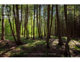 281 Shoreline Avenue, South Bruce Peninsula, ON N0H2T0 Photo 31