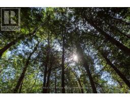 281 Shoreline Avenue, South Bruce Peninsula, ON N0H2T0 Photo 32