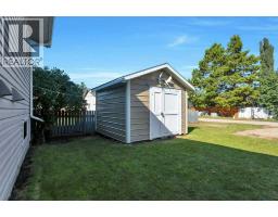 4610 56 Avenue, Rimbey, AB T0C2J0 Photo 48