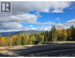 Lot 7 Richie Road, Rossland, BC V0G1Y0 Photo 10