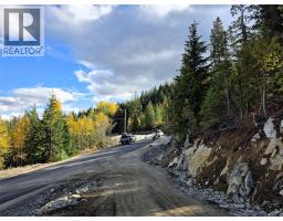 Lot 7 Richie Road, Rossland, BC V0G1Y0 Photo 11
