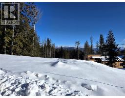 101 Topping Terrace, Rossland, BC V0G1Y0 Photo 6