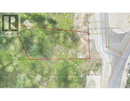 101 Topping Terrace, Rossland, BC V0G1Y0 Photo 7