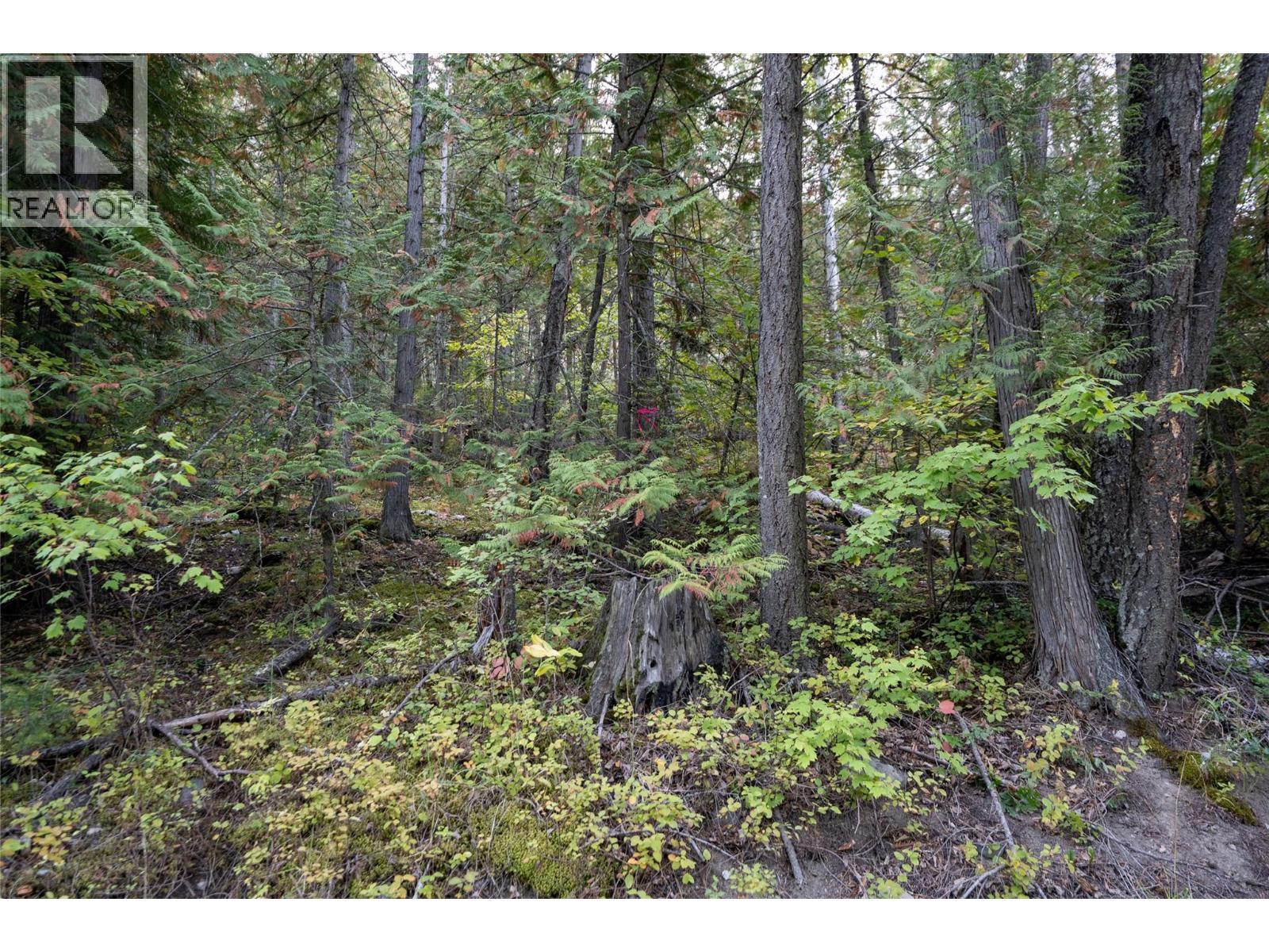  1937 Lumby Mabel Lake Road, Lumby