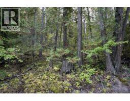 1937 Lumby Mabel Lake Road, Lumby, BC V0E2G6 Photo 6
