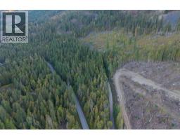1937 Lumby Mabel Lake Road, Lumby, BC V0E2G6 Photo 11