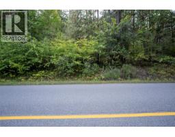 1937 Lumby Mabel Lake Road, Lumby, BC V0E2G6 Photo 8