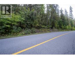 1937 Lumby Mabel Lake Road, Lumby, BC V0E2G6 Photo 12