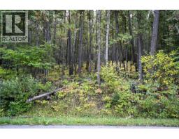 1937 Lumby Mabel Lake Road, Lumby, BC V0E2G6 Photo 7