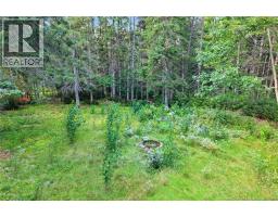 6067 Route 10, Upper Salmon Creek, NB E4A1B9 Photo 46