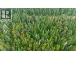 Lot Brooklyn Road, Midgic, NB E4L1W3 Photo 27