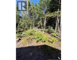 Lot Brooklyn Road, Midgic, NB E4L1W3 Photo 36