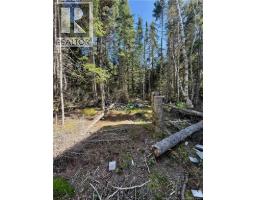 Lot Brooklyn Road, Midgic, NB E4L1W3 Photo 37