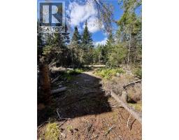 Lot Brooklyn Road, Midgic, NB E4L1W3 Photo 39