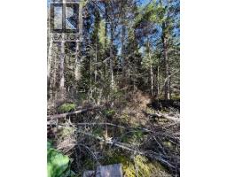 Lot Brooklyn Road, Midgic, NB E4L1W3 Photo 42