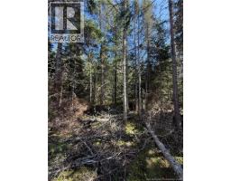 Lot Brooklyn Road, Midgic, NB E4L1W3 Photo 43