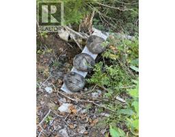 Lot Brooklyn Road, Midgic, NB E4L1W3 Photo 44