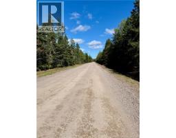 Lot Brooklyn Road, Midgic, NB E4L1W3 Photo 48