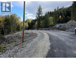 Lot 4 Richie Road, Rossland, BC V0G1Y0 Photo 12