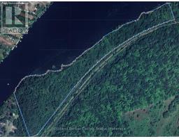 0 Concession Rd 13 E, Trent Hills, ON K0L1Y0 Photo 6