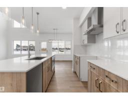 18927 28 Av Nw, Edmonton, AB T6M3H9 Photo 11