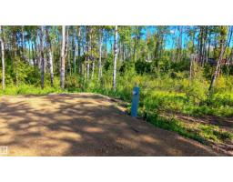 224 53509 Rge Road 60, Rural Parkland County, AB T0E0W0 Photo 8