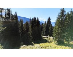 1645 Ferguson Road Lot# Parcel A, Ferguson, BC V0G1R2 Photo 8