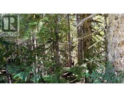 1645 Ferguson Road Lot# Parcel A, Ferguson, BC V0G1R2 Photo 13