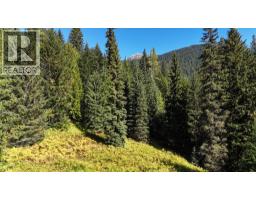 1645 Ferguson Road Lot# Parcel A, Ferguson, BC V0G1R2 Photo 10