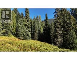 1645 Ferguson Road Lot# Parcel A, Ferguson, BC V0G1R2 Photo 11