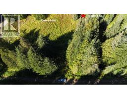 1645 Ferguson Road Lot# Parcel A, Ferguson, BC V0G1R2 Photo 14