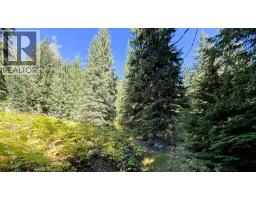 1645 Ferguson Road Lot# Parcel A, Ferguson, BC V0G1R2 Photo 12