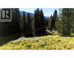 1645 Ferguson Road Lot# Parcel A, Ferguson, BC V0G1R2 Photo 9