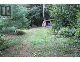 10 Healey Lake Road, The Archipelago, ON P0C1H0 Photo 23