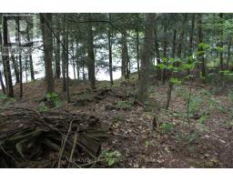 10 Healey Lake Road, The Archipelago, ON P0C1H0 Photo 27