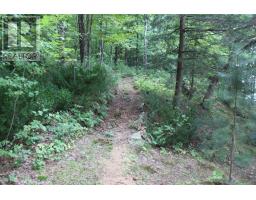 10 Healey Lake Road, The Archipelago, ON P0C1H0 Photo 25