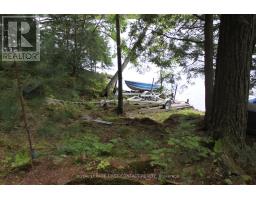 10 Healey Lake Road, The Archipelago, ON P0C1H0 Photo 24