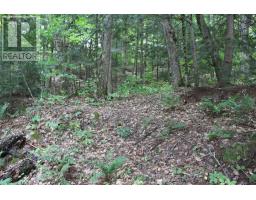 10 Healey Lake Road, The Archipelago, ON P0C1H0 Photo 28