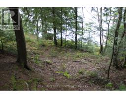10 Healey Lake Road, The Archipelago, ON P0C1H0 Photo 26