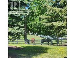260048 Bearspaw Road, Rural Rocky View County, AB T3R1H4 Photo 41