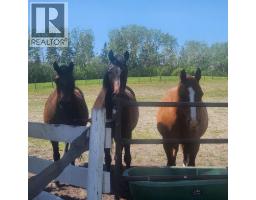260048 Bearspaw Road, Rural Rocky View County, AB T3R1H4 Photo 42