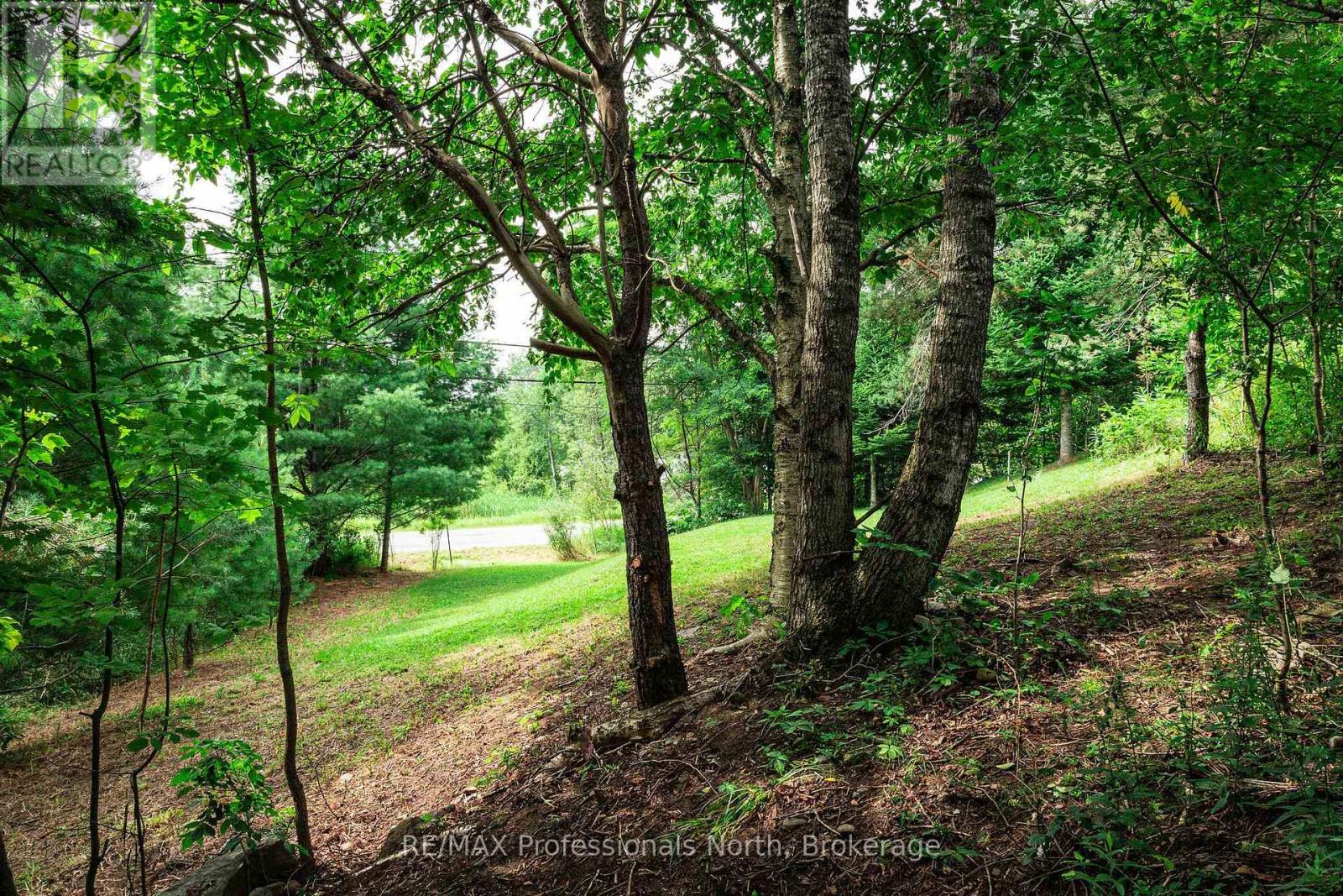 0 TOWNLINE ROAD, Huntsville — photo 2