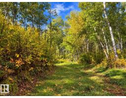 #133 51248 Rge Road 231, Rural Strathcona County, AB T8B1K7 Photo 10