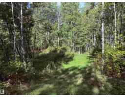 #133 51248 Rge Road 231, Rural Strathcona County, AB T8B1K7 Photo 7