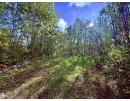#133 51248 Rge Road 231, Rural Strathcona County, AB T8B1K7 Photo 8