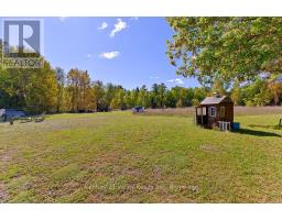 7969 60 Highway, Bonnechere Valley, ON K0J1T0 Photo 11