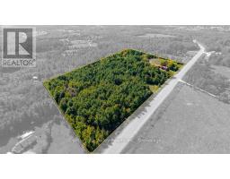 7969 60 Highway, Bonnechere Valley, ON K0J1T0 Photo 14
