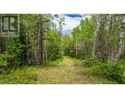 95 Forest Glade Road, Forest Glade, NS B0P1R0 Photo 41